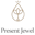 Presentjewel Icon