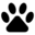 D is for Doggy Icon