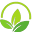 Selwii Icon