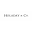 Holaday & Co Icon