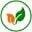 greenerlyfe Icon