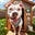 Layka's Dog House Icon