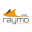 Raymo USA Icon
