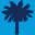 South Carolina Democratic Party Icon