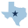 Texas Democratic Party Icon