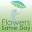 Flowers Same Day Icon
