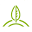 CleanPlaneterra Icon