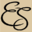 Elizabeth Shaw Icon