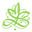 Morethanwords.com Icon