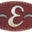 Flying E Ranch Icon