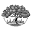 Elm Drugs + Elm Wellness Icon