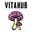 VitaHub Icon