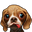 The Pet Owner Icon