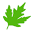 Essential Oils Canada Icon