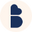 The Bradery Icon