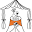 Elegant Parties Icon