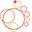 The Ingrown Toenail Centre Icon