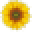 Affordable Tanning Lotion Icon