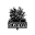 Sycamore Bar & Flower Shop Icon