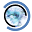 Blue Iris Icon