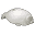 Squishy Seals Icon