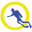 Divestore DACH Icon