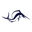 sailfish Europe Icon