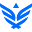 Synack Icon
