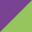 Dynamint Icon