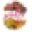 The Protea Store Icon