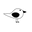 Brave Bird Club Icon