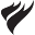 Town and Country Fire Places Icon