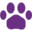 iVet.com Icon