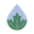 Clean Maple Icon