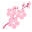 Kimono Yukata Market Icon