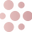 Acta Beauty Icon
