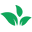 VitaVida Naturals Icon