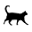 CatsPlay.com Icon