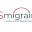 US Migraine Icon