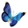 Morphus Icon