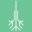 Medonist CBD Icon