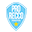 ProReccoStore Icon