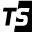 Triathlon Shop Icon