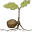 Food Forest Nursery Icon