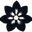 Kentaro Collective Icon