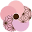 MOMOCA Icon