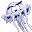 Jelly Fish Surf Shop Icon