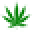 CBD Pure Health Solutions Icon