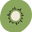 Kiwi Sleep Icon