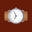 Seagull 1963 Icon